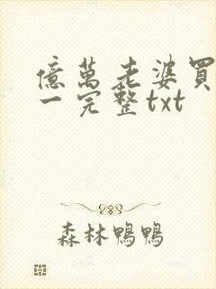 亿万老婆买一送一完整txt