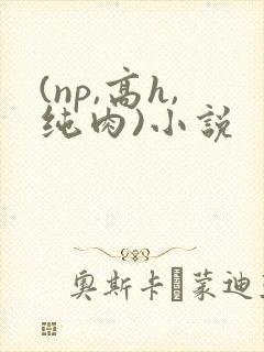 (np,高h,纯肉)小说封面