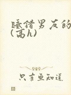 睡错男友的室友(高h)