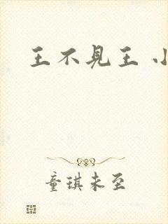 王不见王 小说