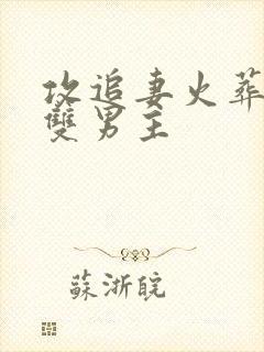 攻追妻火葬场的双男主封面