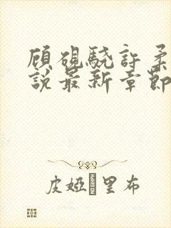 顾砚骁许柔汐小说最新章节更新内容