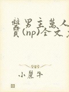 双男主万人迷体质(np)全文免费阅读笔趣阁