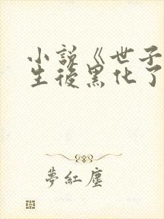 小说《世子妃重生后黑化了》