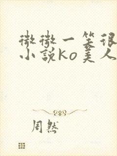 微微一笑很倾城小说ko美人师兄