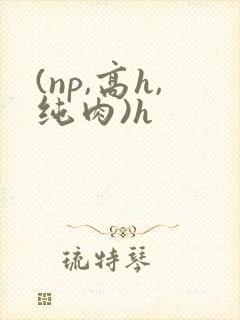 (np,高h,纯肉)h