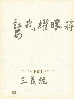 许我耀眼蒋亮结局