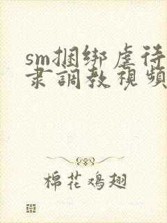 sm捆绑虐待奴隶调教视频封面