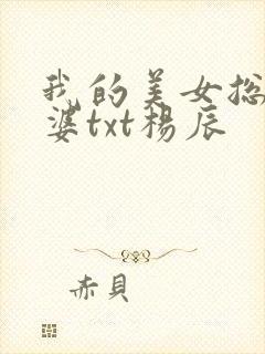 我的美女总裁老婆txt杨辰封面