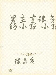 男主有很多女人的小说 小说