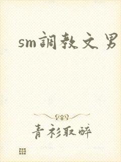 sm调教文男男封面