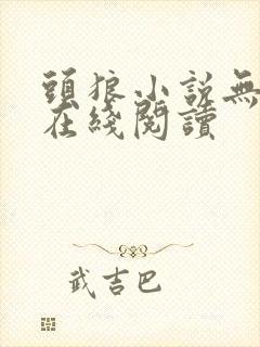 头狼小说无删减在线阅读