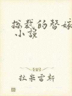 总裁的替嫁新娘 小说封面