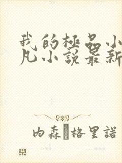 我的极品小姨叶凡小说最新章节列表