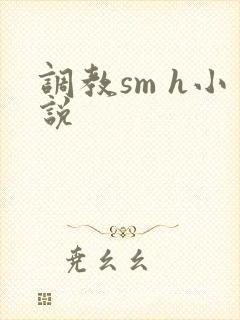 调教sm h小说封面