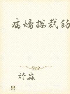 病娇总裁的小说封面
