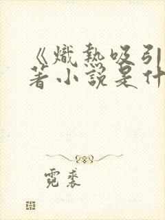 《炽热吸引》原著小说是什么