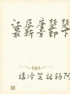 江辰唐楚楚结局最新章节下载封面