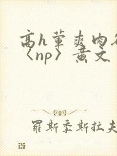 高h荤爽肉欲文〈np〉黄文