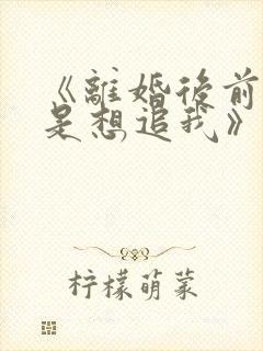 《离婚后前夫总是想追我》