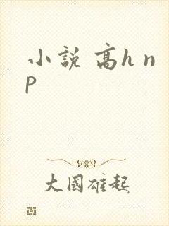 小说 高h np封面
