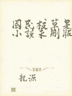 国民校草是女生小说未删版下载txt