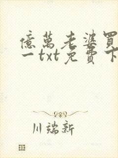亿万老婆买一送一txt免费下载