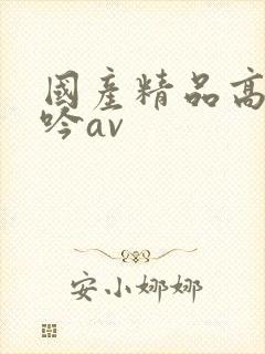 国产精品高潮呻吟av封面