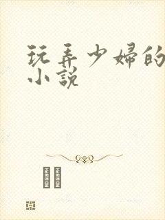 玩弄少妇的悲哀小说