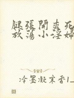 腿张开爽死你个放荡小淫妇小说