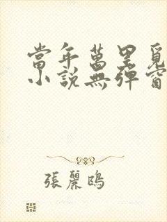 当年万里觅封侯小说无弹窗