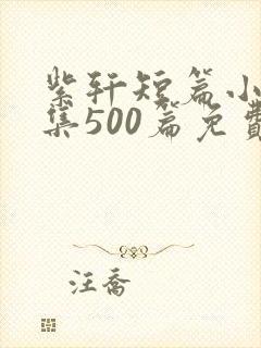 紫轩短篇小说合集500篇免费阅读封面