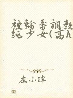 被轮番调教的清纯少女(高h