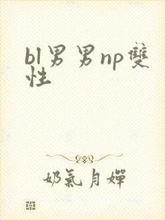 bl男男np双性封面