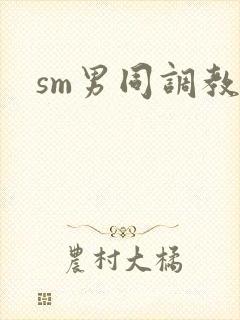 sm男同调教文