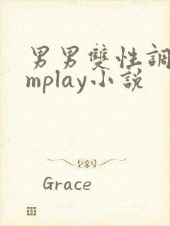 男男双性调教smplay小说