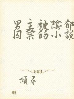 男主被阴郁疯批囚禁的小说封面