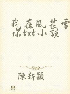 我在风花雪月等你txt小说