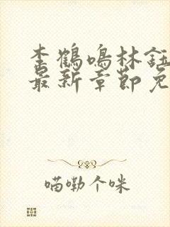 李鹤鸣林钰小说最新章节免费阅读