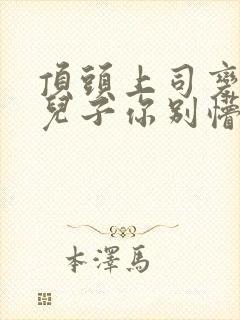 顶头上司变后妈儿子你别懵