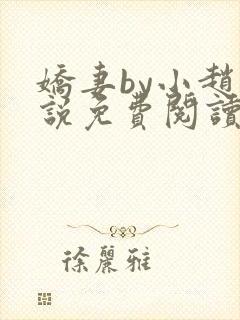 娇妻by小赵小说免费阅读