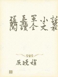 张长军小说免费阅读全文最新章节封面