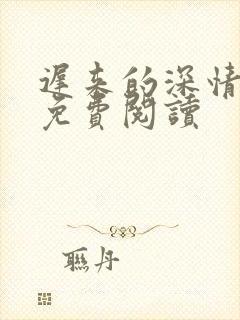 迟来的深情小说免费阅读