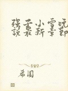 强子小雪晚晴小说最新章节阅读封面