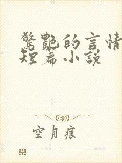 惊艳的言情言情短篇小说封面