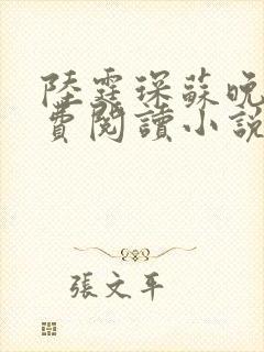 陆霆琛苏晚意免费阅读小说封面