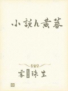 小说h黄蓉封面