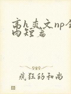高h爽文np全肉短篇