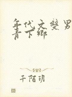 年代文双男主知青下乡封面