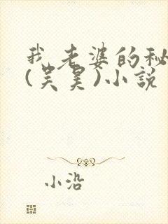 我老婆的秘密 (吴昊)小说